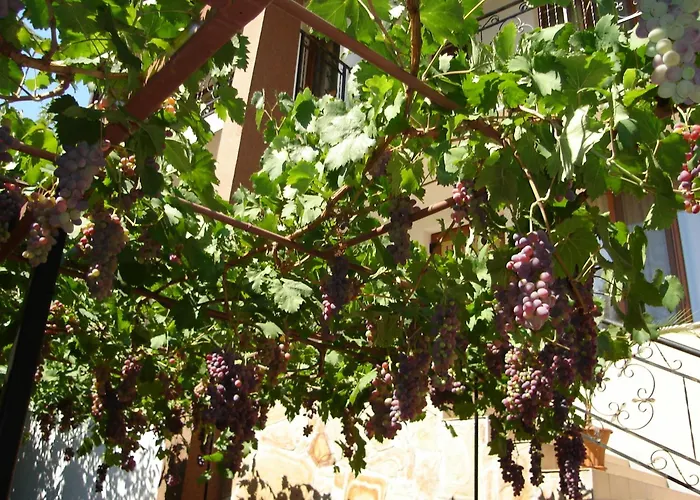 Centaur Family Hotel Rila